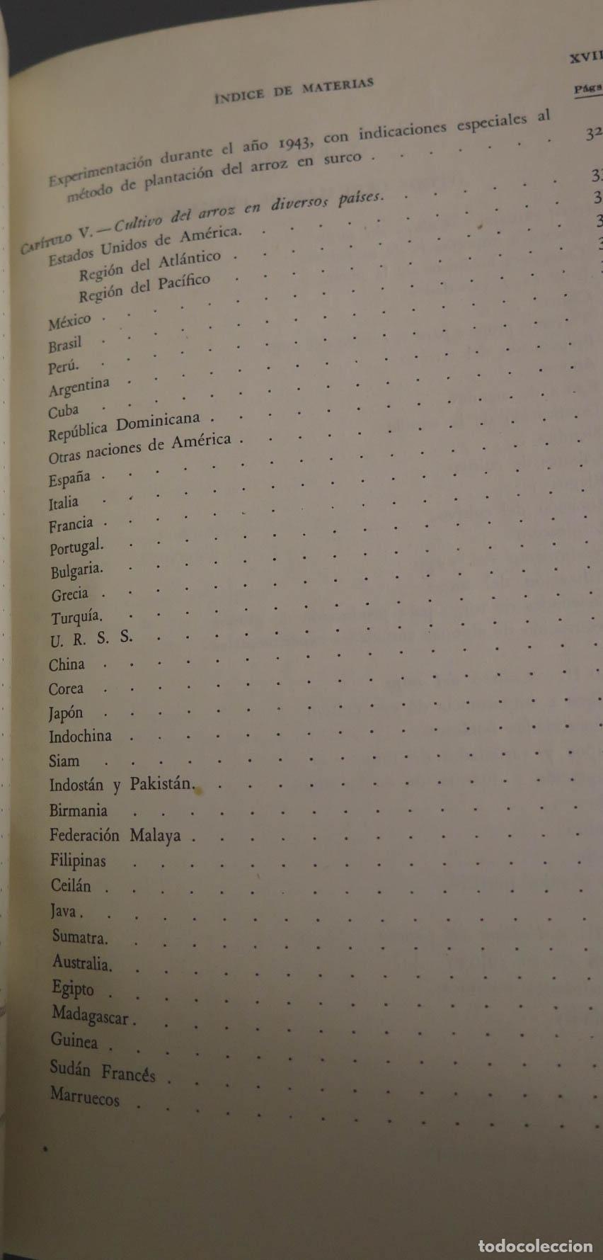 Libros de segunda mano: CEREALES DE PRIMAVERA Alfonso D&iacute;az del Pino - Foto 8
