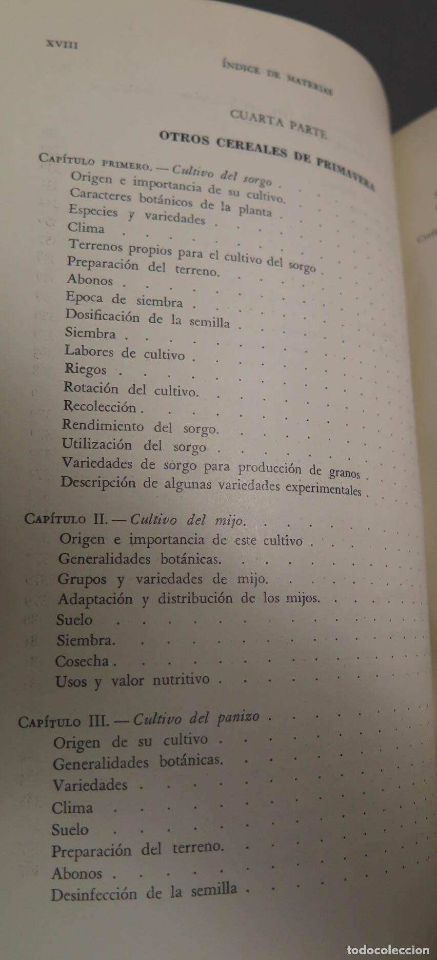 Libros de segunda mano: CEREALES DE PRIMAVERA Alfonso D&iacute;az del Pino - Foto 9