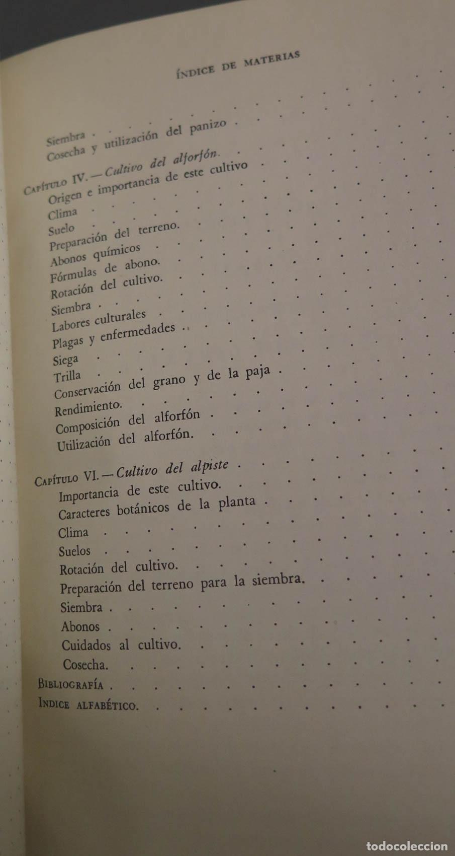 Libros de segunda mano: CEREALES DE PRIMAVERA Alfonso D&iacute;az del Pino - Foto 10