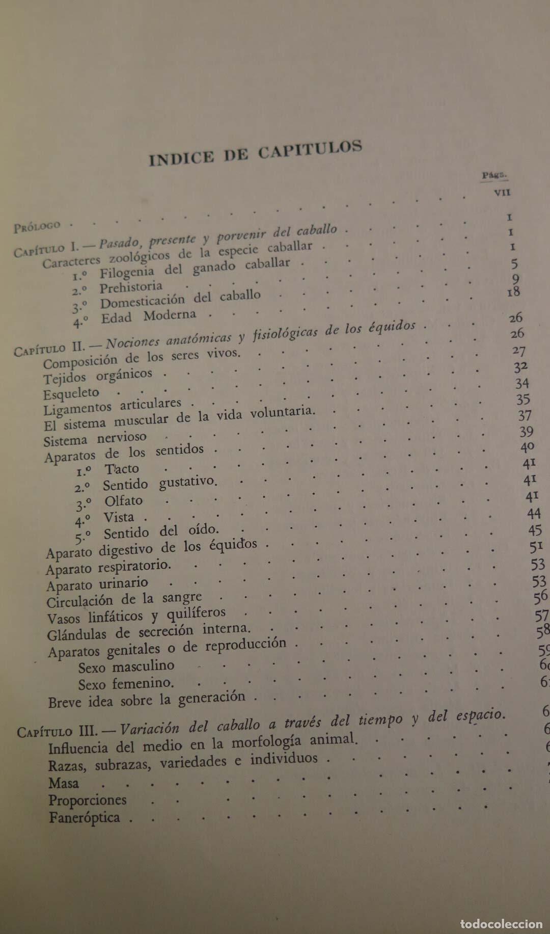 Libros de segunda mano: GANADO CABALLAR BELTR&Aacute;N - Foto 2