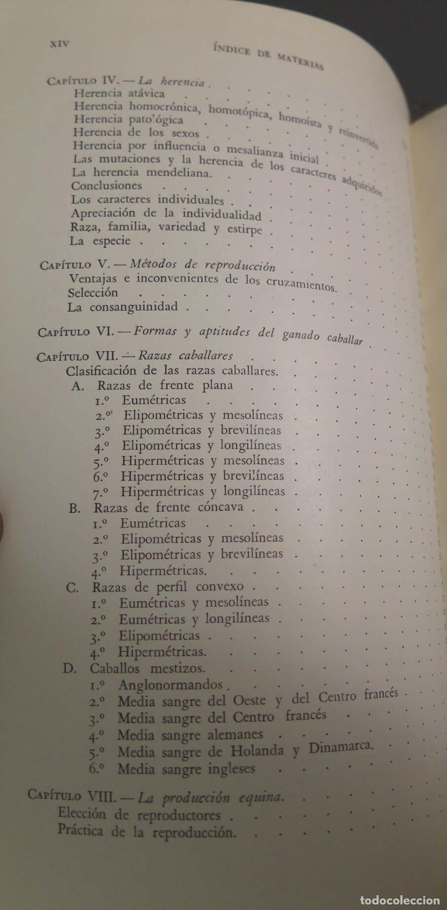 Libros de segunda mano: GANADO CABALLAR BELTR&Aacute;N - Foto 3