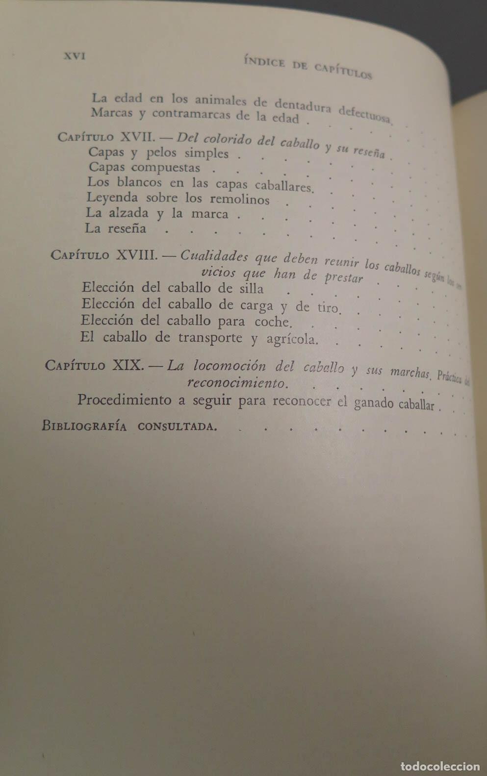 Libros de segunda mano: GANADO CABALLAR BELTR&Aacute;N - Foto 5