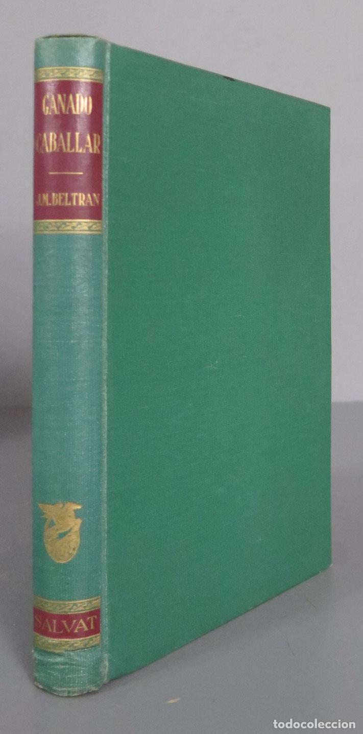 Libros de segunda mano: GANADO CABALLAR BELTR&Aacute;N - Foto 1