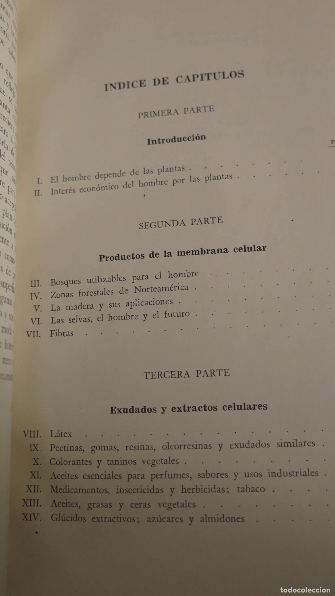 Libros de segunda mano: Plantas &uacute;tiles al hombre. SCHERY - Foto 2