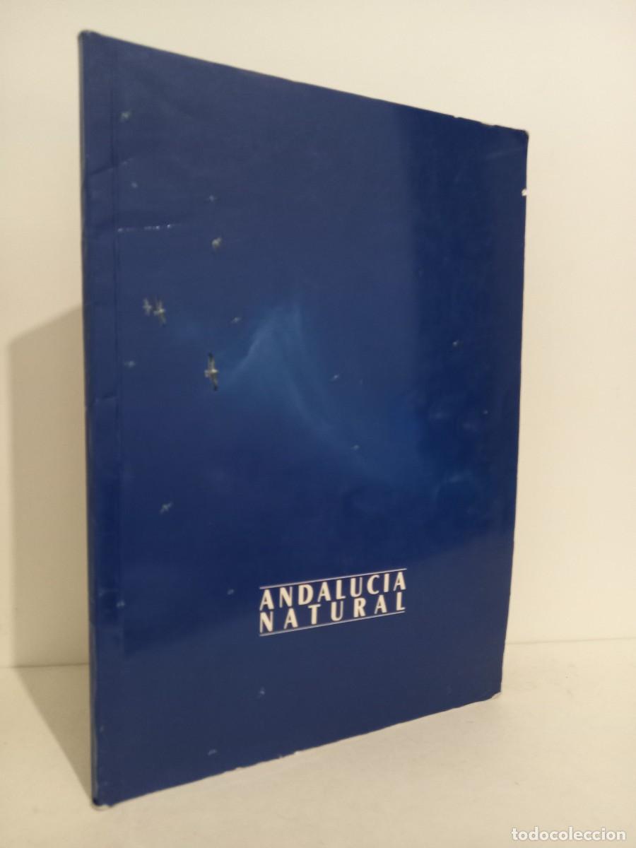 Libros de segunda mano: Andalucia natural. Junta de Andalucia - Foto 1