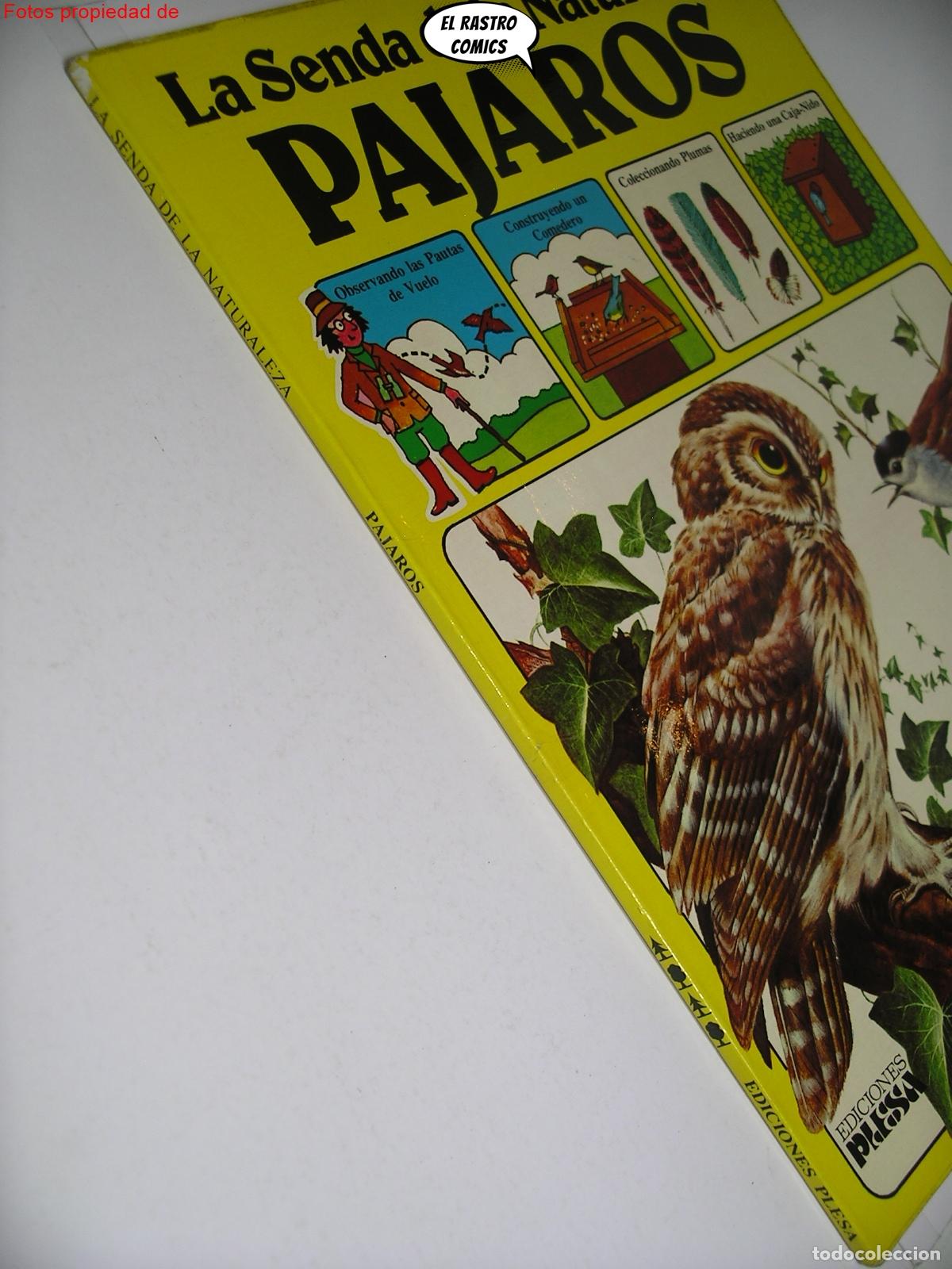 Gebrauchte B&uuml;cher: La senda de la naturaleza, Pajaros, ed Plesa SM a&ntilde;o 1981, A7