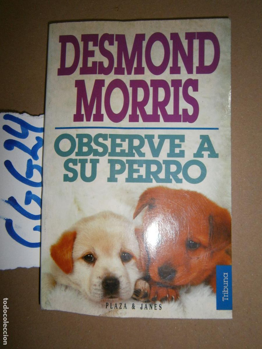 Libros de segunda mano: -- OBSERVE A SU PERRO -- - Foto 1
