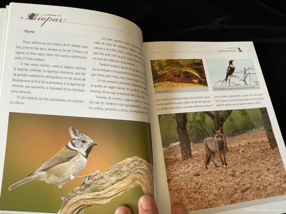 Libros de segunda mano: LIBRO A VUELTAS CON RI&Oacute;PAR. EXPERIENCIAS CON LA FAUNA. - Foto 3