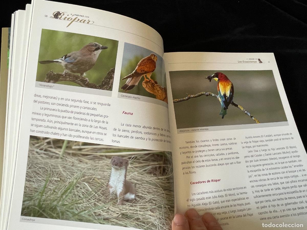 Libros de segunda mano: LIBRO A VUELTAS CON RI&Oacute;PAR. EXPERIENCIAS CON LA FAUNA. - Foto 4