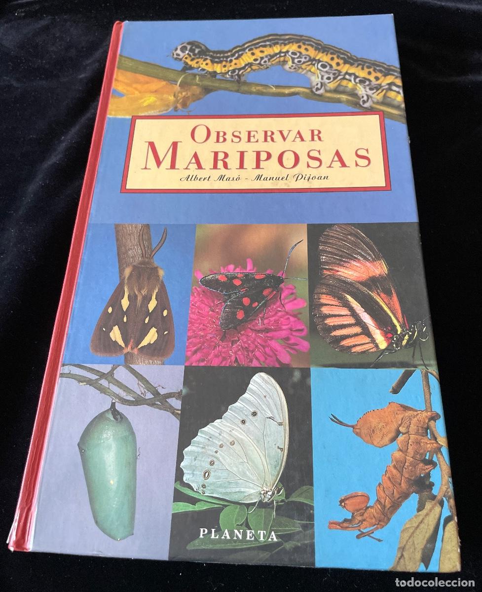 Libros de segunda mano: LIBRO OBSERVAR MARIPOSAS. ALBERT MAS&Oacute;. PLANETA. - Foto 1