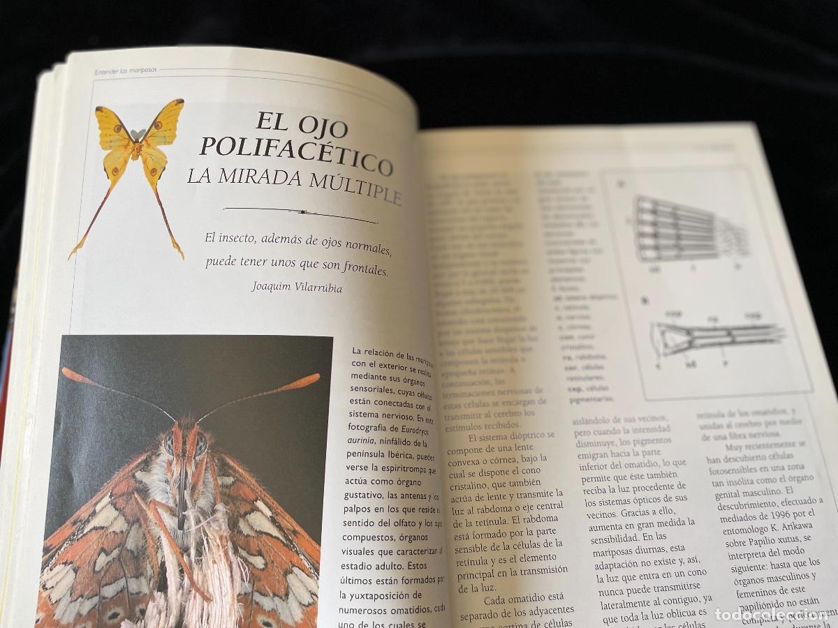 Libros de segunda mano: LIBRO OBSERVAR MARIPOSAS. ALBERT MAS&Oacute;. PLANETA. - Foto 2