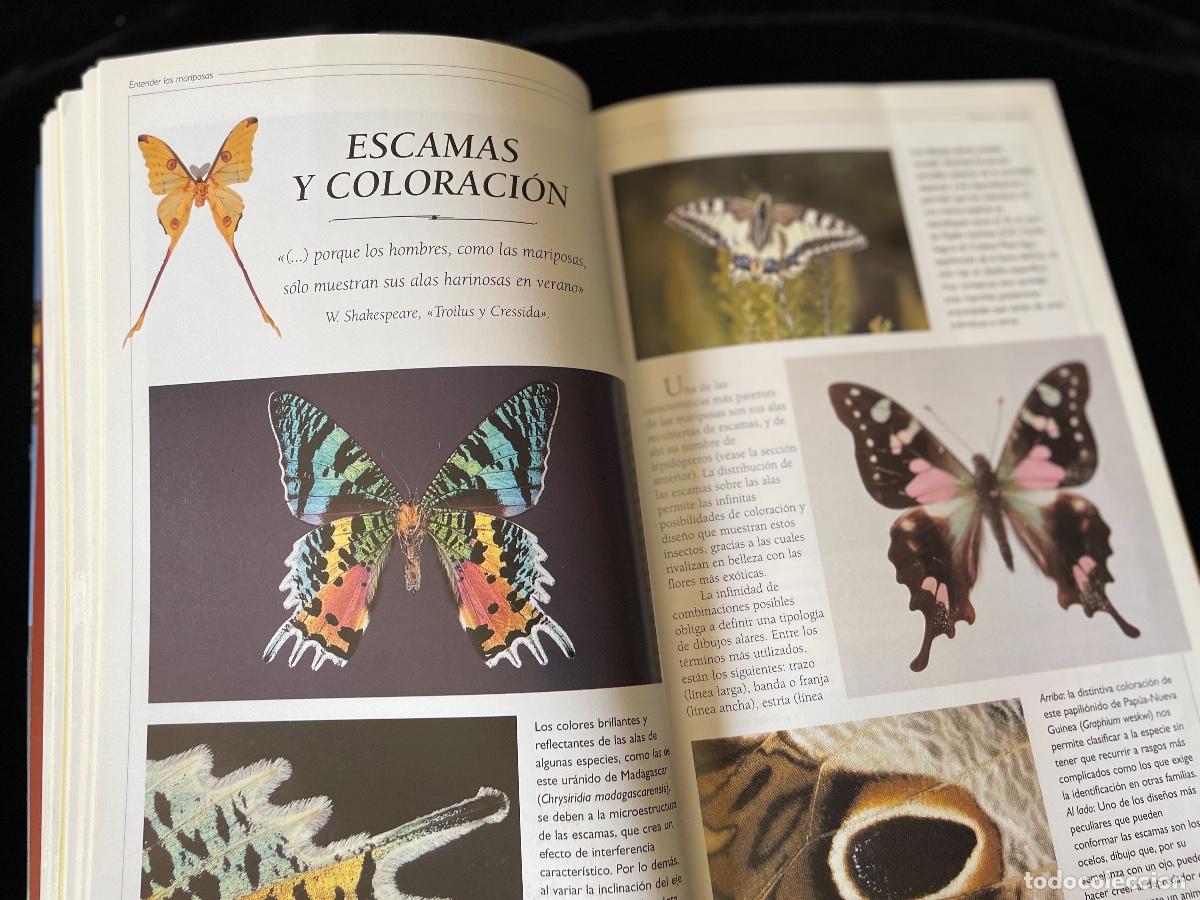Libros de segunda mano: LIBRO OBSERVAR MARIPOSAS. ALBERT MAS&Oacute;. PLANETA. - Foto 5