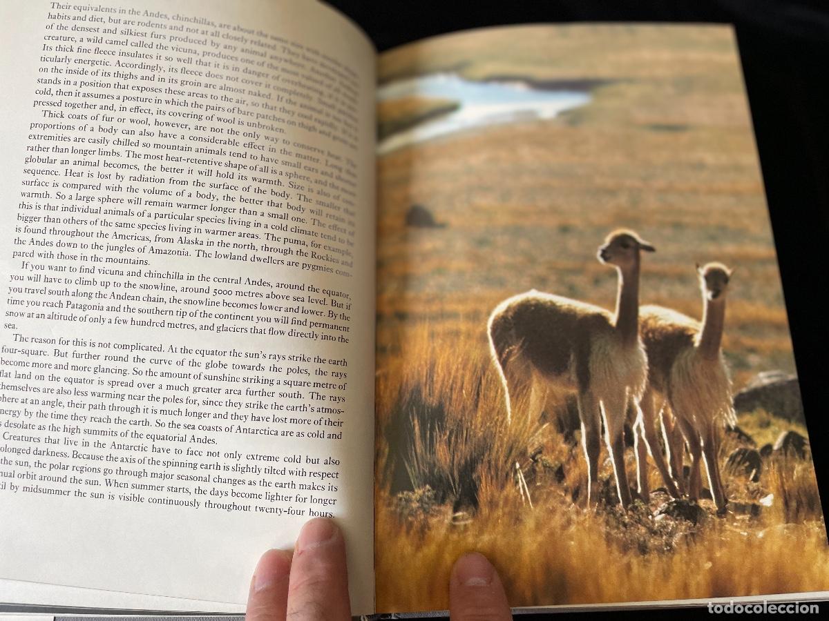 Libros de segunda mano: LIBRO THE LIVING PLANET. DAVID ATTENBOROUGH. - Foto 2