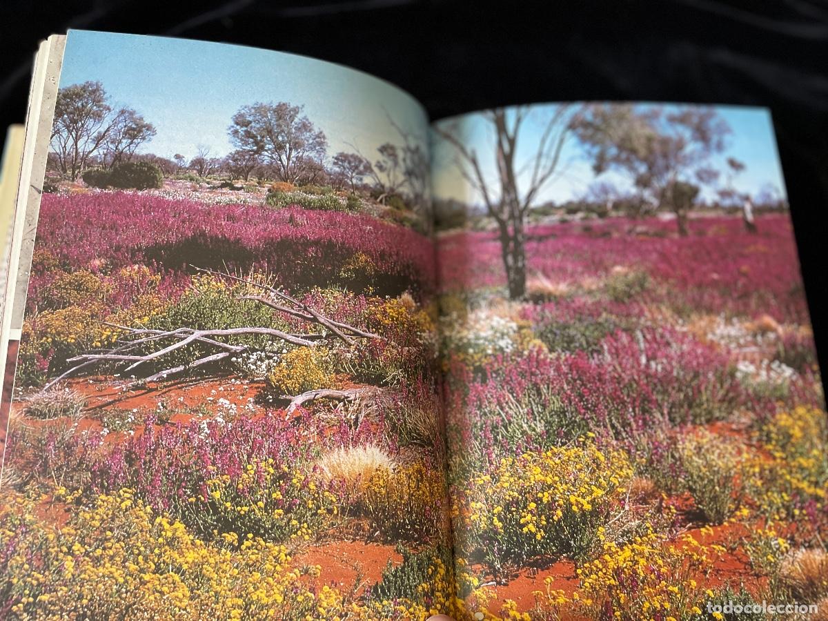 Libros de segunda mano: LIBRO THE LIVING PLANET. DAVID ATTENBOROUGH. - Foto 4