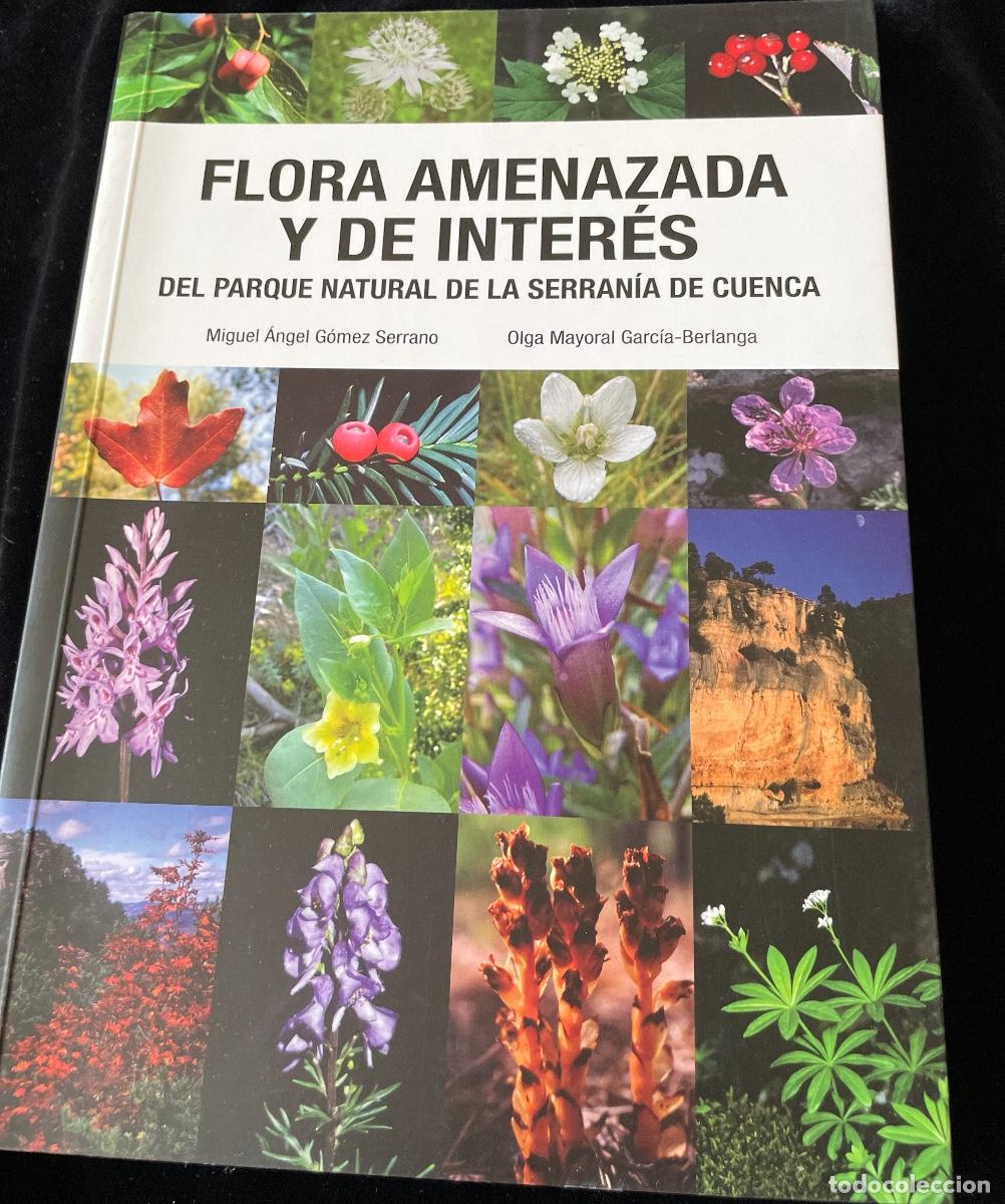 Libros de segunda mano: LIBRO FLORA AMENAZADA Y DE INTER&Eacute;S DE LA SERRAN&Iacute;A DE CUENCA - Foto 1
