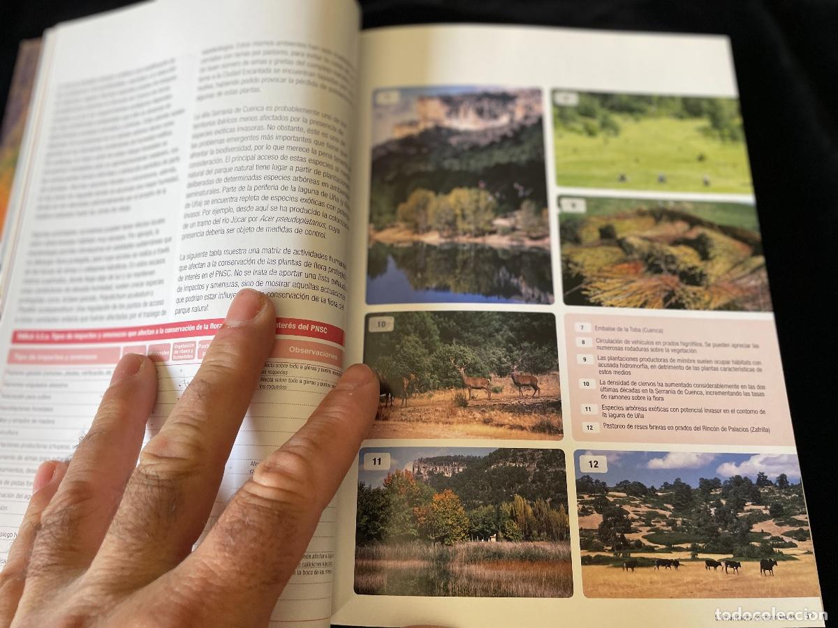 Libros de segunda mano: LIBRO FLORA AMENAZADA Y DE INTER&Eacute;S DE LA SERRAN&Iacute;A DE CUENCA - Foto 2