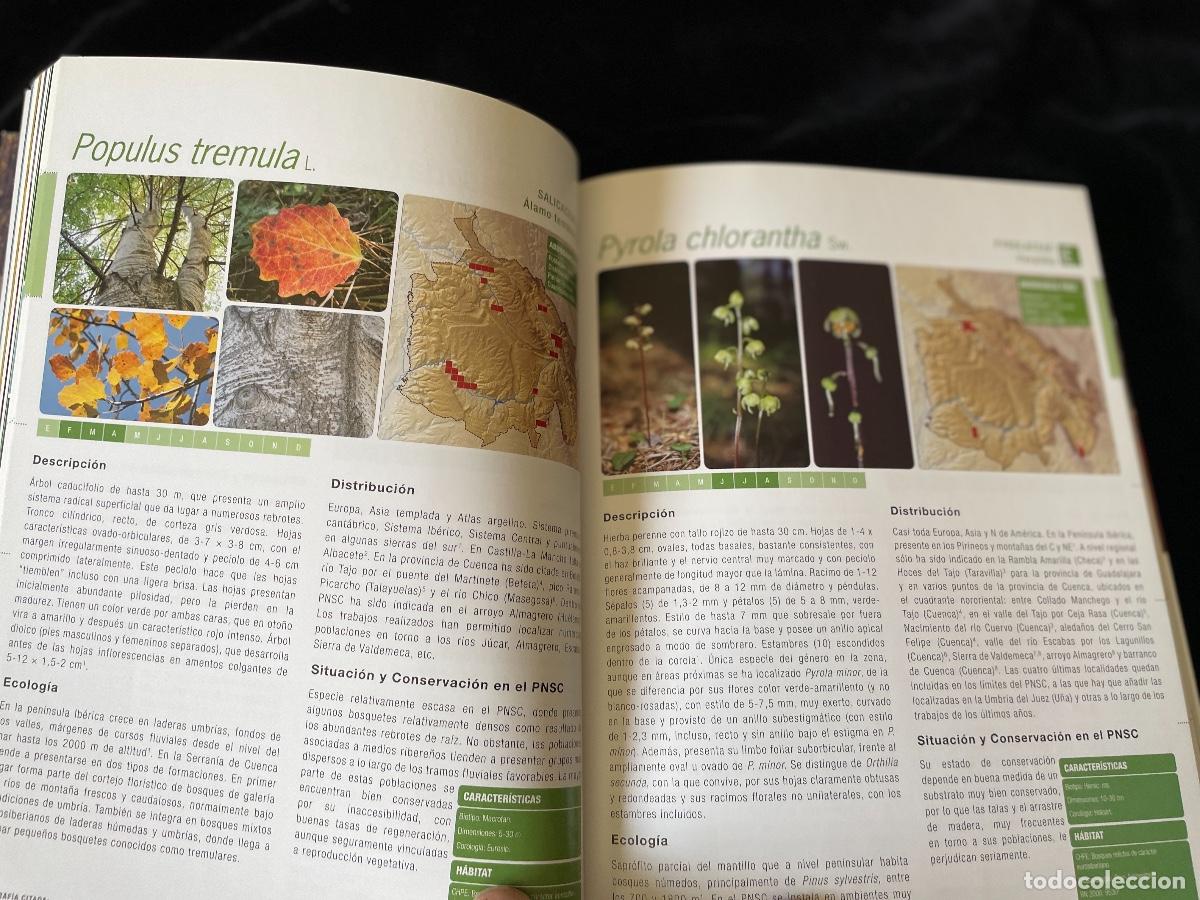 Libros de segunda mano: LIBRO FLORA AMENAZADA Y DE INTER&Eacute;S DE LA SERRAN&Iacute;A DE CUENCA - Foto 5