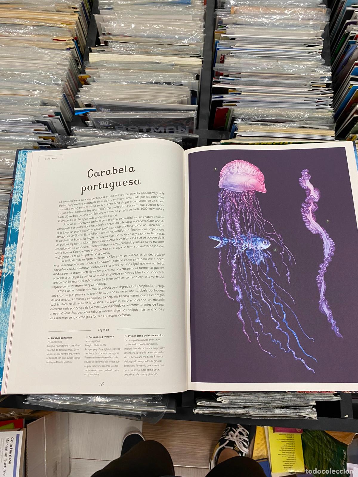 Libros de segunda mano: Oceanarium - Trinick Loveday - Foto 2