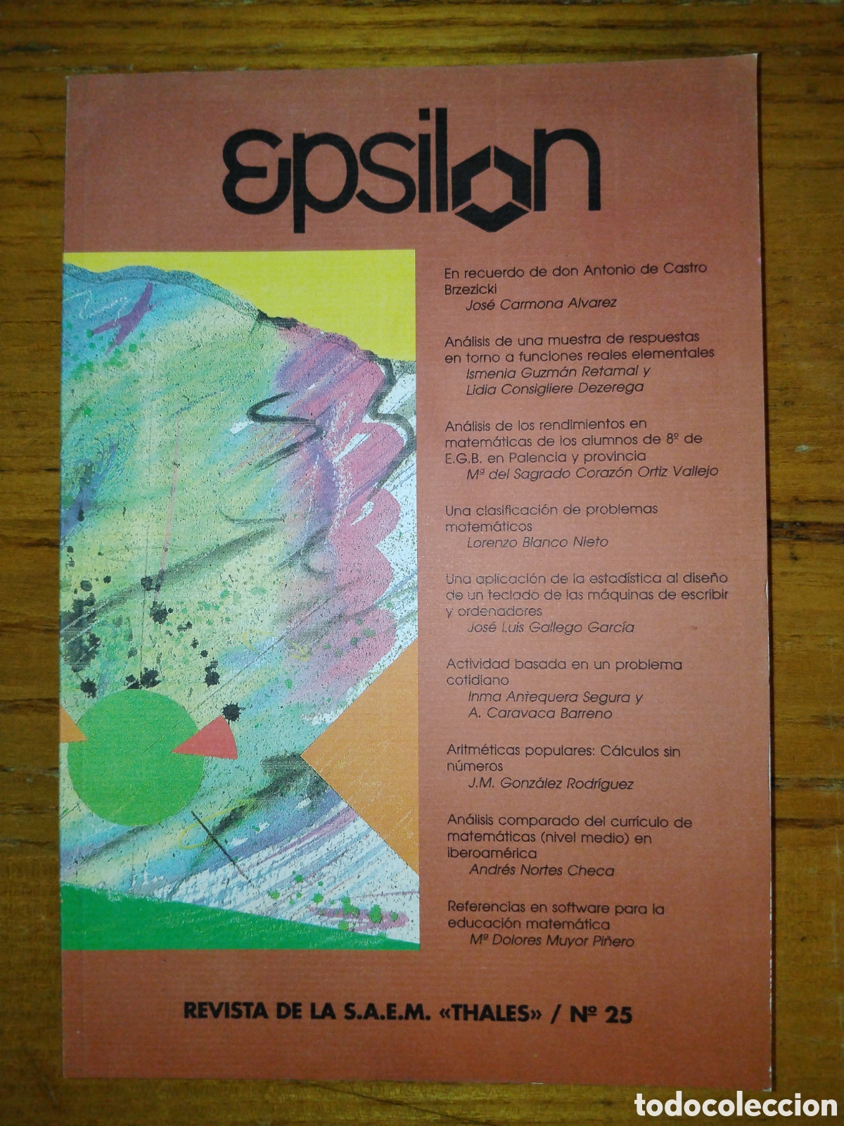 Libros de segunda mano de ciencias: Revista de matem&aacute;ticas Epsilon. N&ordm; 25 - Foto 1