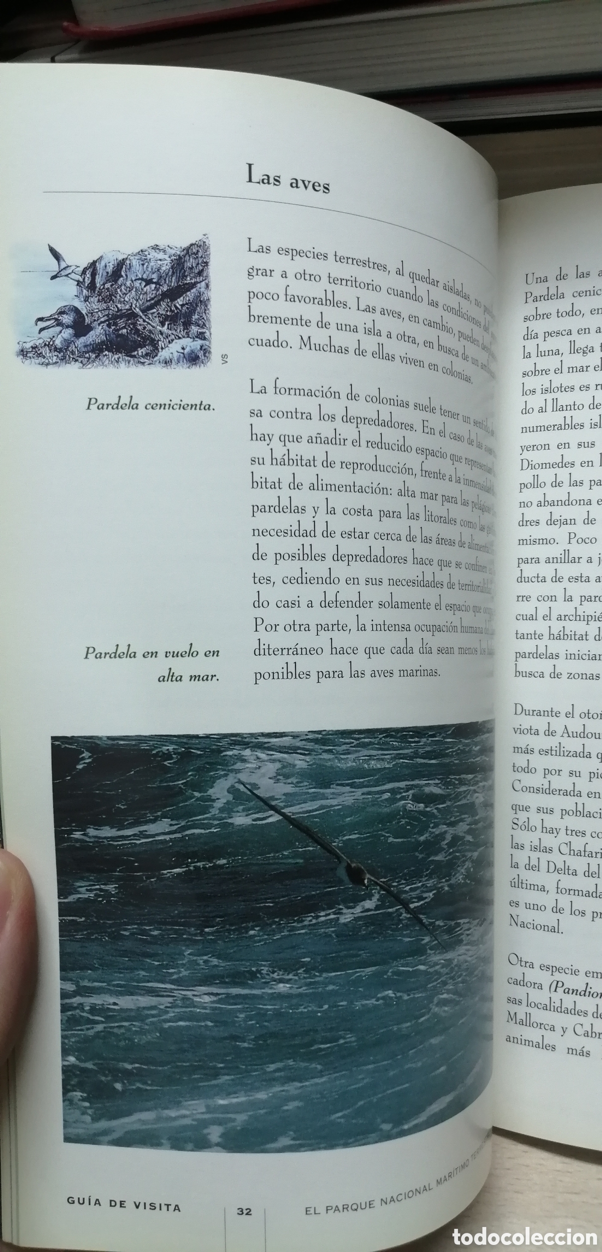 Libros de segunda mano: Cabrera El Parque Nacional Mar&iacute;timo Terrestre Gu&iacute;a de visita e Historia - Foto 12