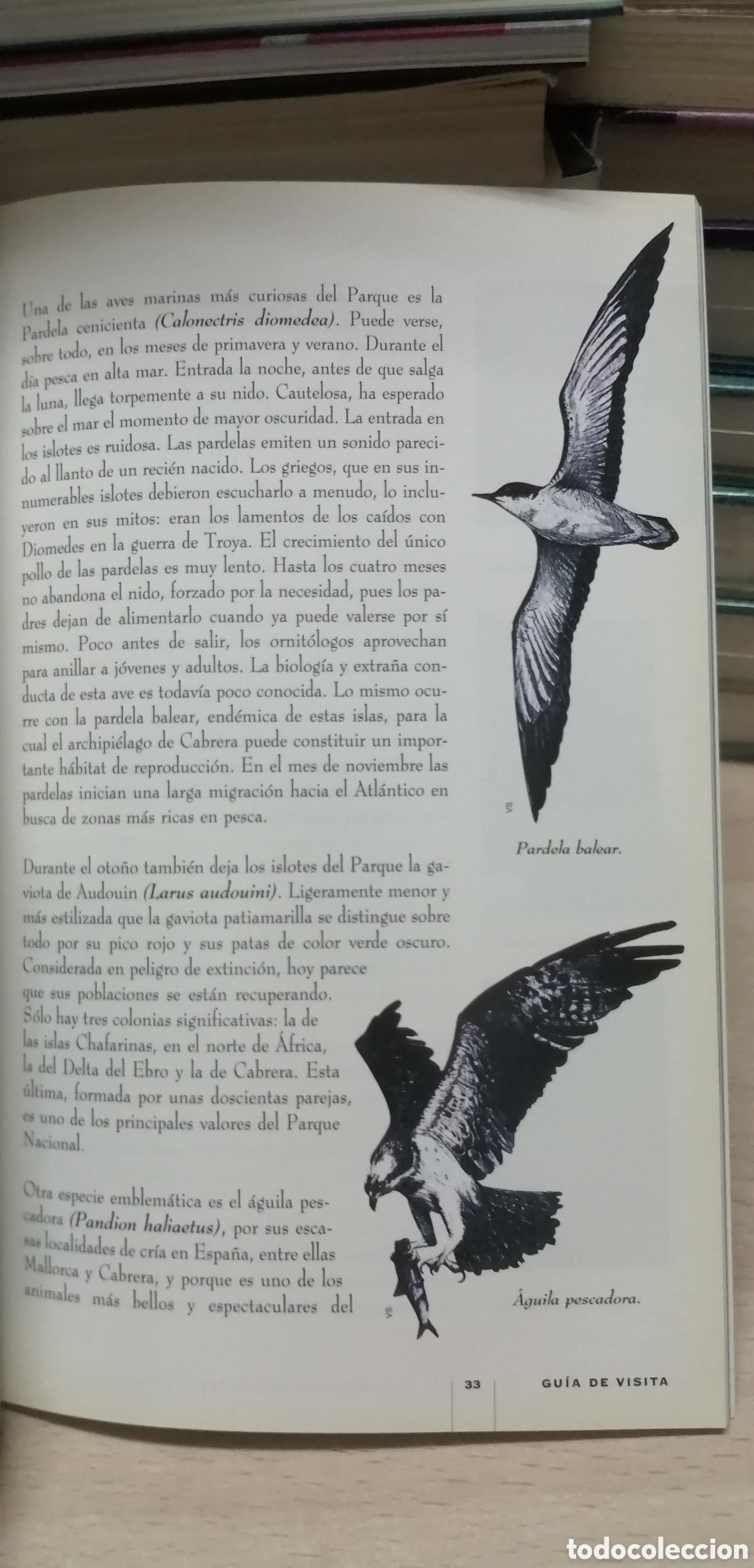 Libros de segunda mano: Cabrera El Parque Nacional Mar&iacute;timo Terrestre Gu&iacute;a de visita e Historia - Foto 13