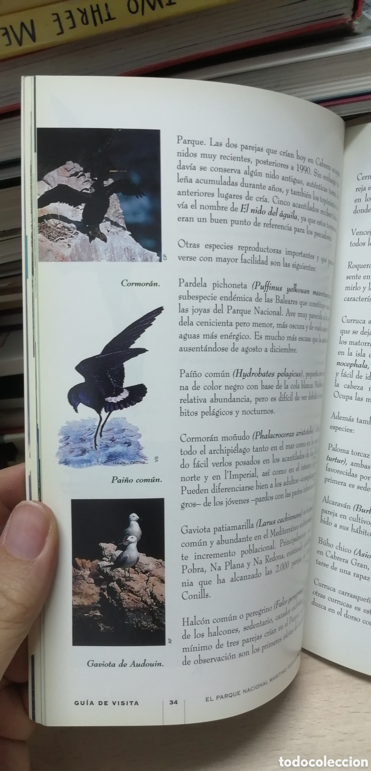 Libros de segunda mano: Cabrera El Parque Nacional Mar&iacute;timo Terrestre Gu&iacute;a de visita e Historia - Foto 14