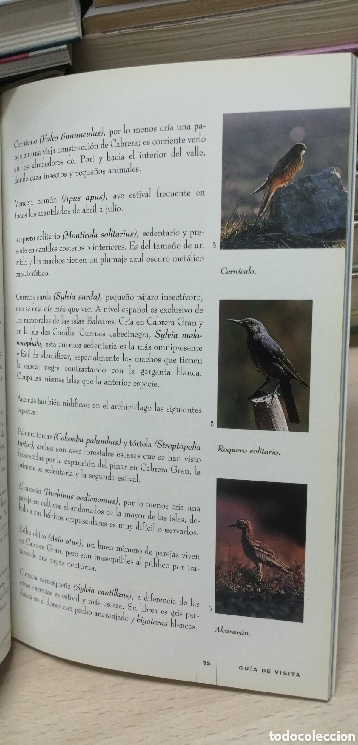 Libros de segunda mano: Cabrera El Parque Nacional Mar&iacute;timo Terrestre Gu&iacute;a de visita e Historia - Foto 15