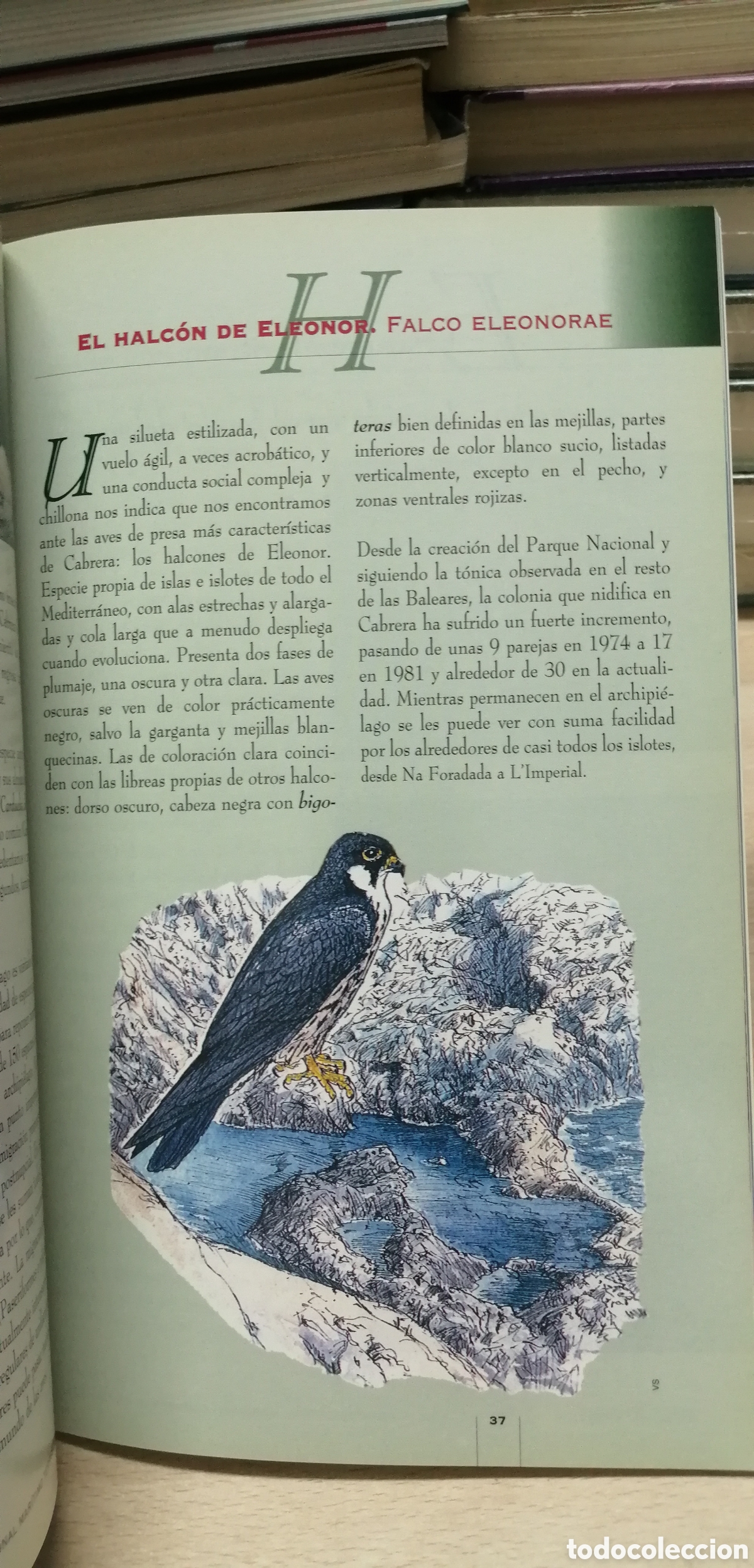 Libros de segunda mano: Cabrera El Parque Nacional Mar&iacute;timo Terrestre Gu&iacute;a de visita e Historia - Foto 16