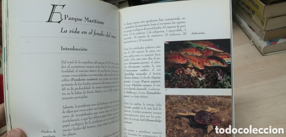 Libros de segunda mano: Cabrera El Parque Nacional Mar&iacute;timo Terrestre Gu&iacute;a de visita e Historia - Foto 17