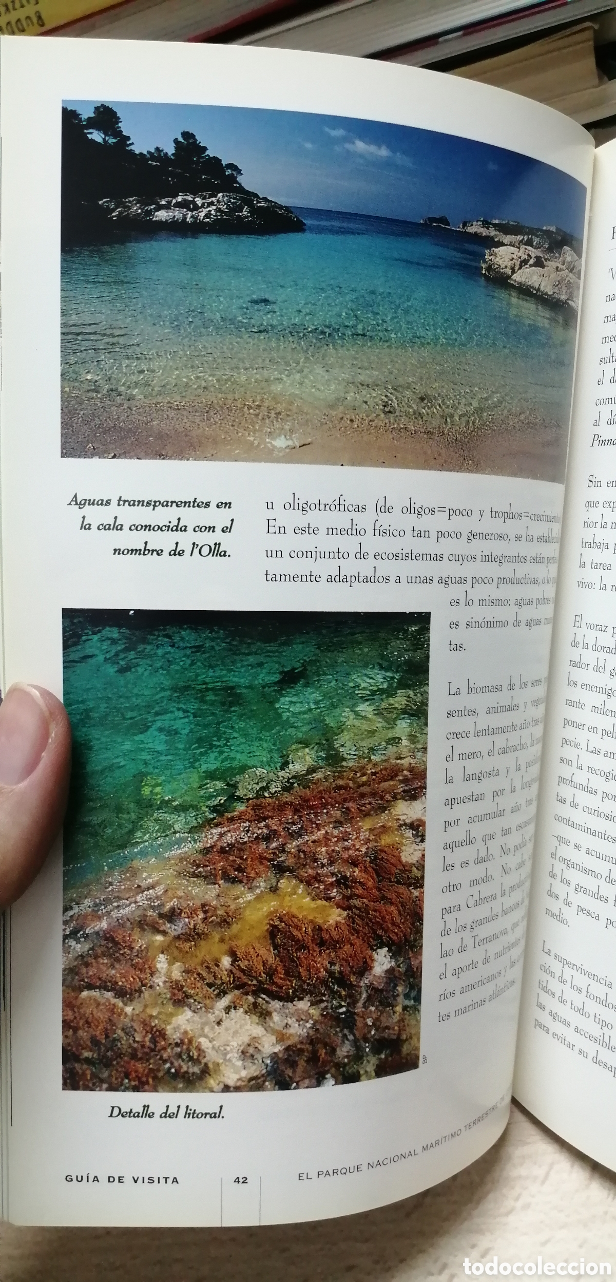 Libros de segunda mano: Cabrera El Parque Nacional Mar&iacute;timo Terrestre Gu&iacute;a de visita e Historia - Foto 20