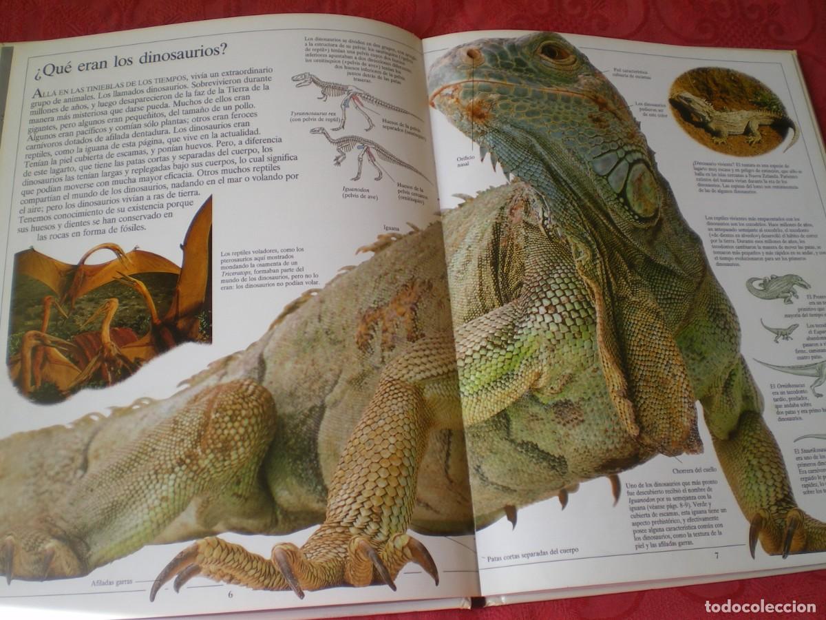 Libros de segunda mano: LOS DINOSAURIOS . BIBLIOTECA VISUAL ALTEA. - Foto 4