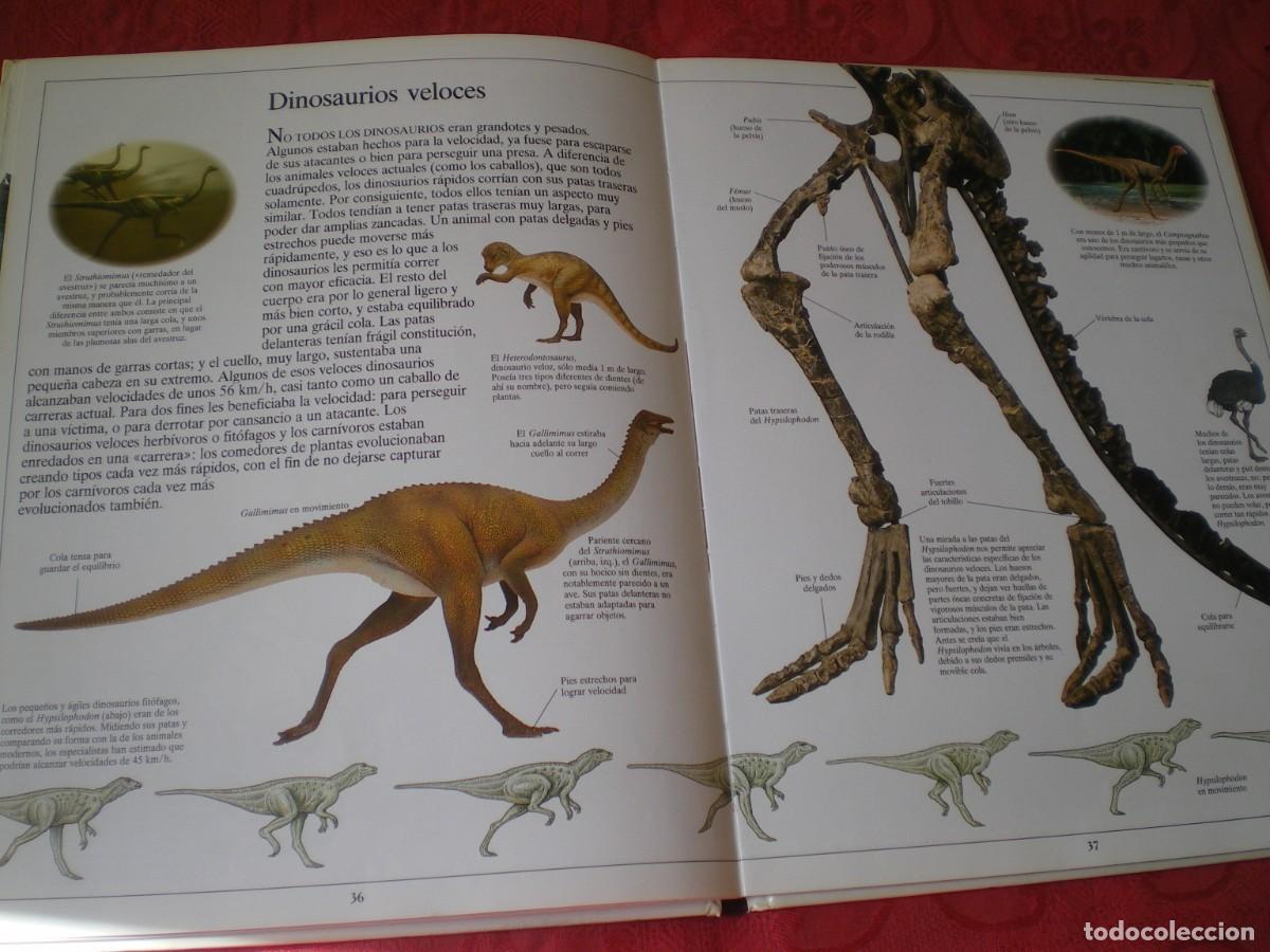 Libros de segunda mano: LOS DINOSAURIOS . BIBLIOTECA VISUAL ALTEA. - Foto 5