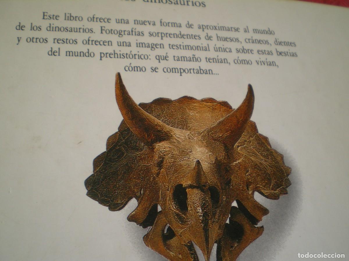 Libros de segunda mano: LOS DINOSAURIOS . BIBLIOTECA VISUAL ALTEA. - Foto 7