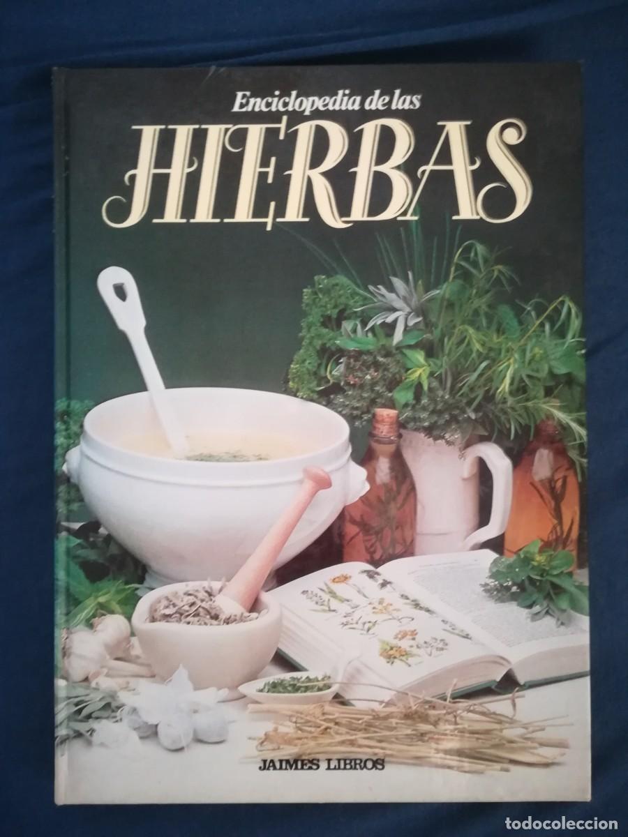 Libros de segunda mano: Enciclopedia de las hierbas Jaimes Libros 1979 - Foto 1