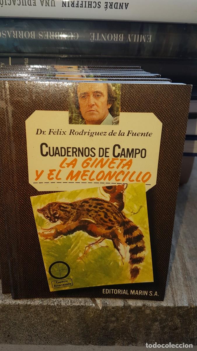 Libros de segunda mano: CUADERNOS DE CAMPO DE FELIX RODRIGUEZ DE LA FUENTE - Foto 1