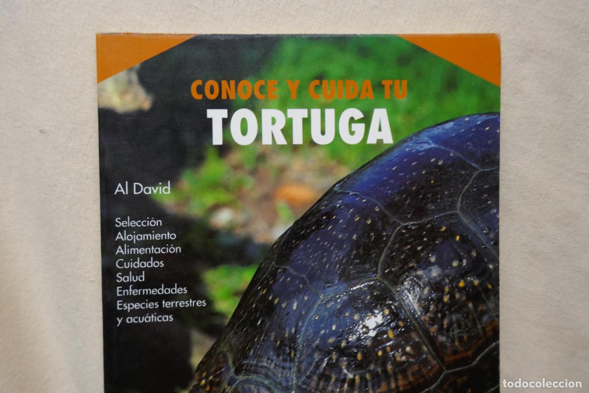 Libros de segunda mano: Conoce y cuida tu tortuga - Al David - Hispano Europea - Foto 2
