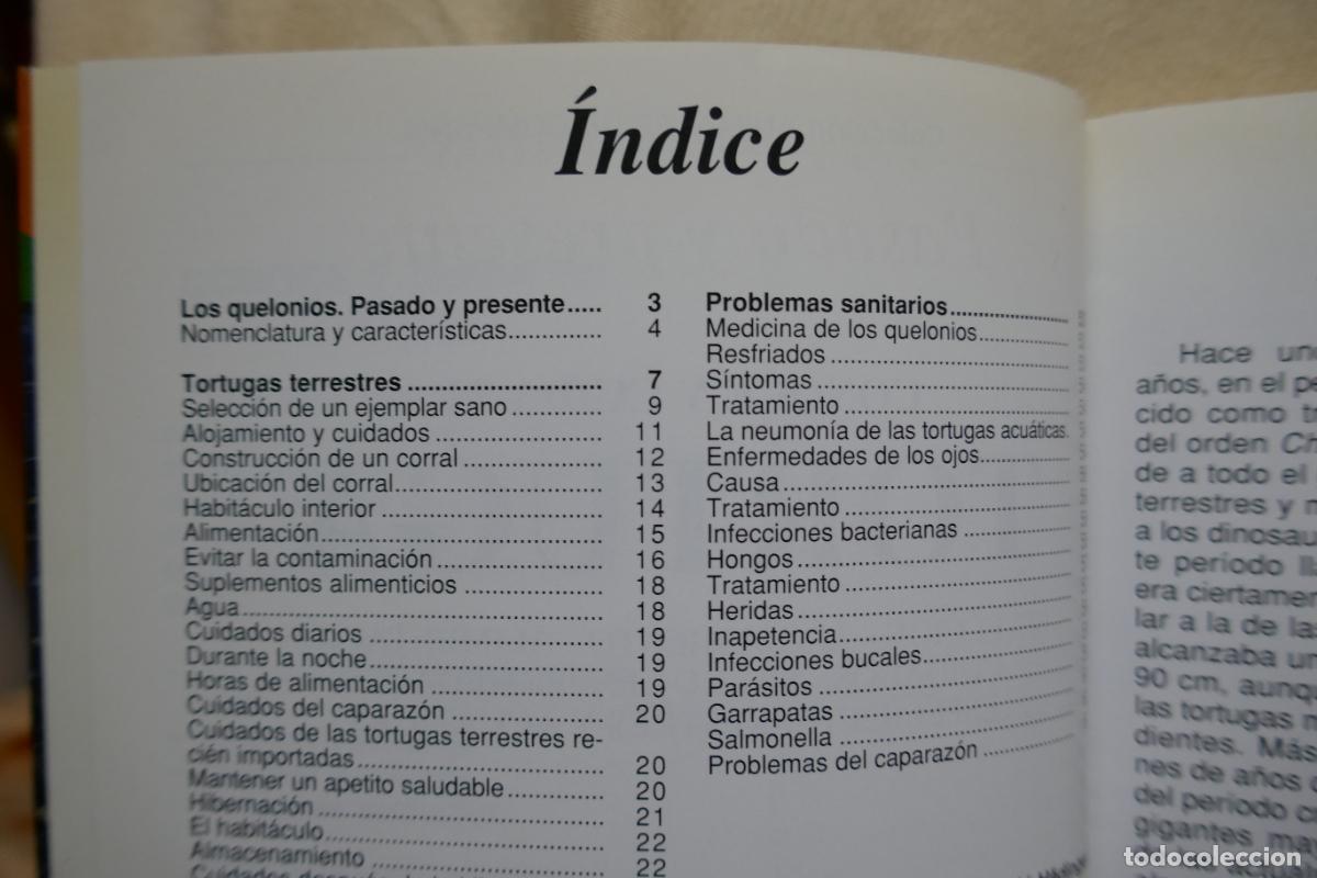 Libros de segunda mano: Conoce y cuida tu tortuga - Al David - Hispano Europea - Foto 5