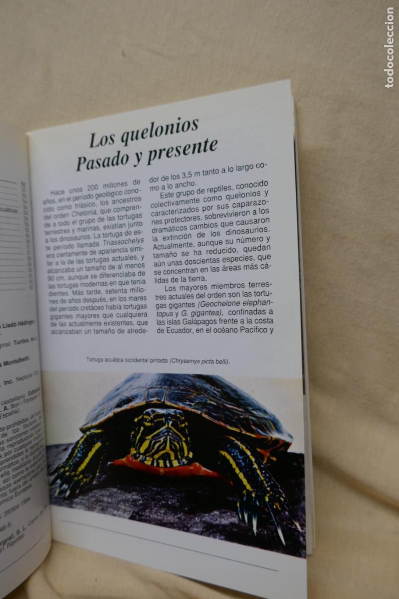Libros de segunda mano: Conoce y cuida tu tortuga - Al David - Hispano Europea - Foto 8