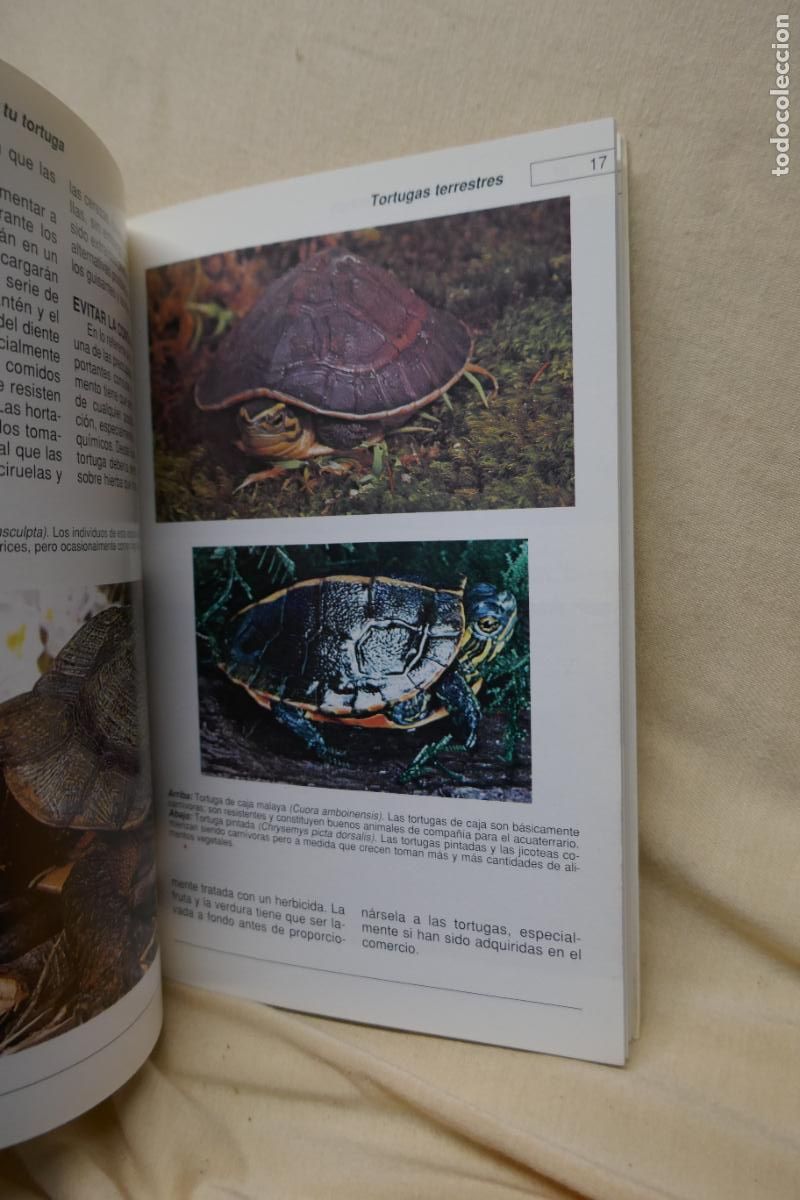 Libros de segunda mano: Conoce y cuida tu tortuga - Al David - Hispano Europea - Foto 10