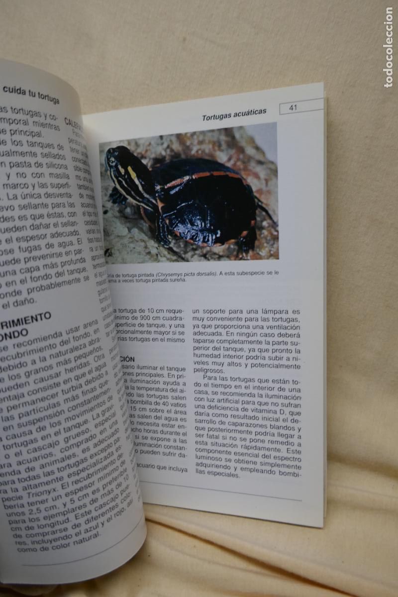 Libros de segunda mano: Conoce y cuida tu tortuga - Al David - Hispano Europea - Foto 13