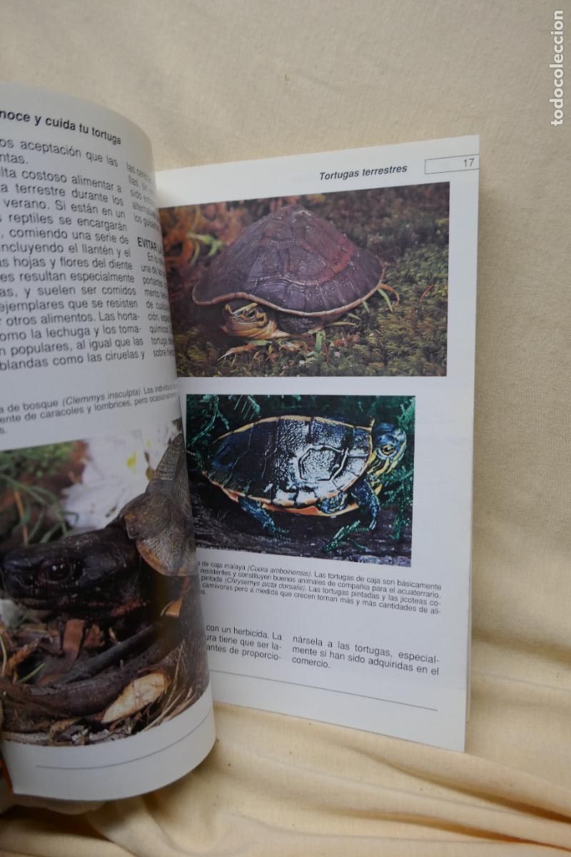 Libros de segunda mano: Conoce y cuida tu tortuga - Al David - Hispano Europea - Foto 16
