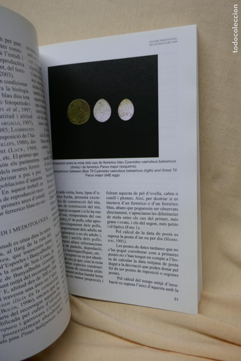 Libros de segunda mano: ANUARI ORNITOL&Ograve;GIC DE LES BALEARS, ANY 2009. VOLUM 24 - Foto 6