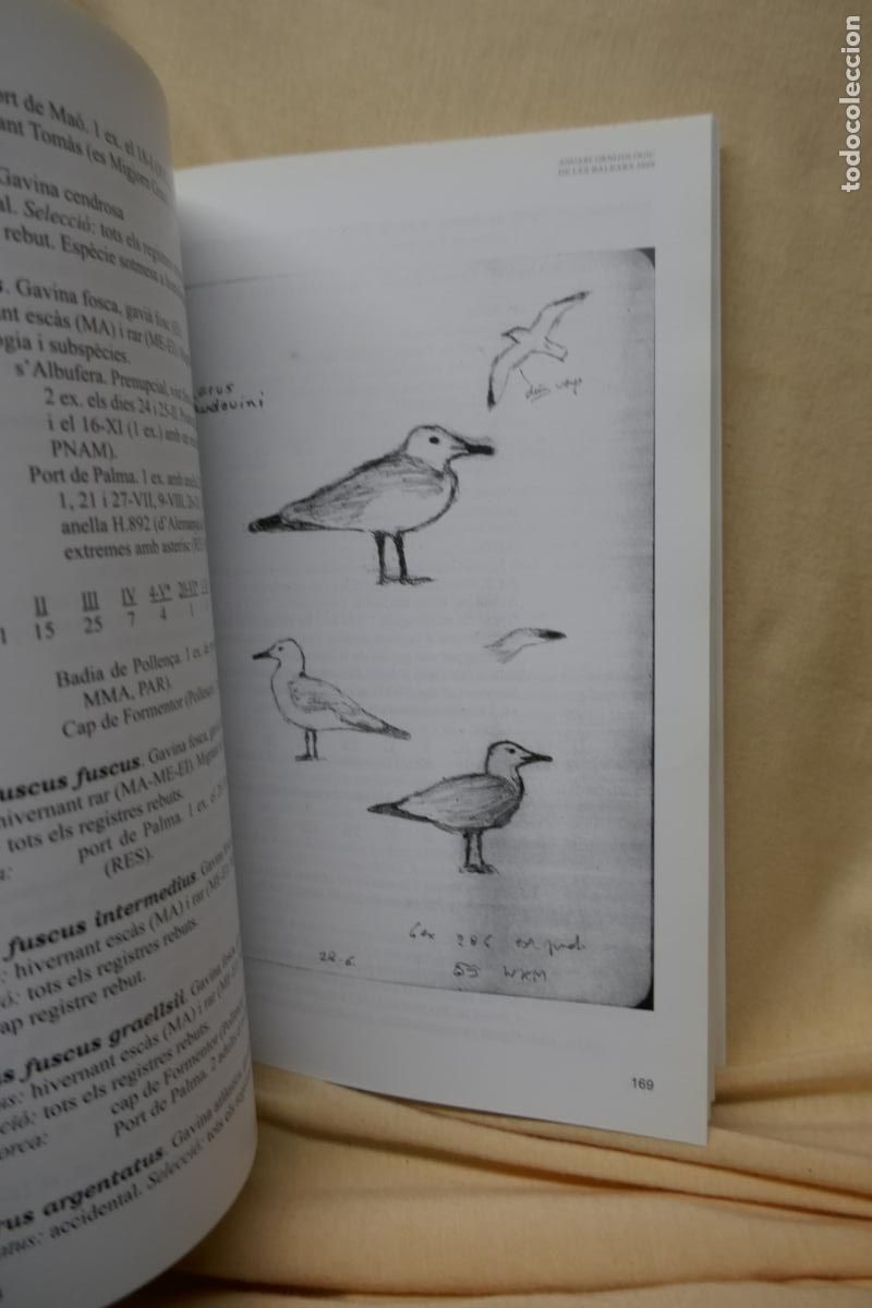 Libros de segunda mano: ANUARI ORNITOL&Ograve;GIC DE LES BALEARS, ANY 2009. VOLUM 24 - Foto 8