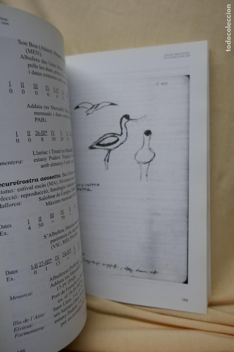 Libros de segunda mano: ANUARI ORNITOL&Ograve;GIC DE LES BALEARS, ANY 2009. VOLUM 24 - Foto 9