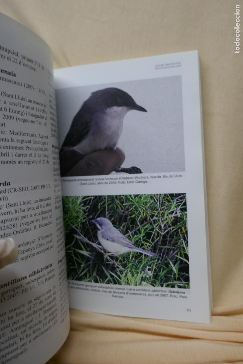 Libros de segunda mano: ANUARI ORNITOL&Ograve;GIC DE LES BALEARS, ANY 2009. VOLUM 24 - Foto 11