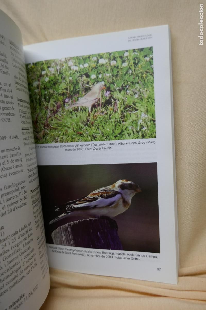 Libros de segunda mano: ANUARI ORNITOL&Ograve;GIC DE LES BALEARS, ANY 2009. VOLUM 24 - Foto 13