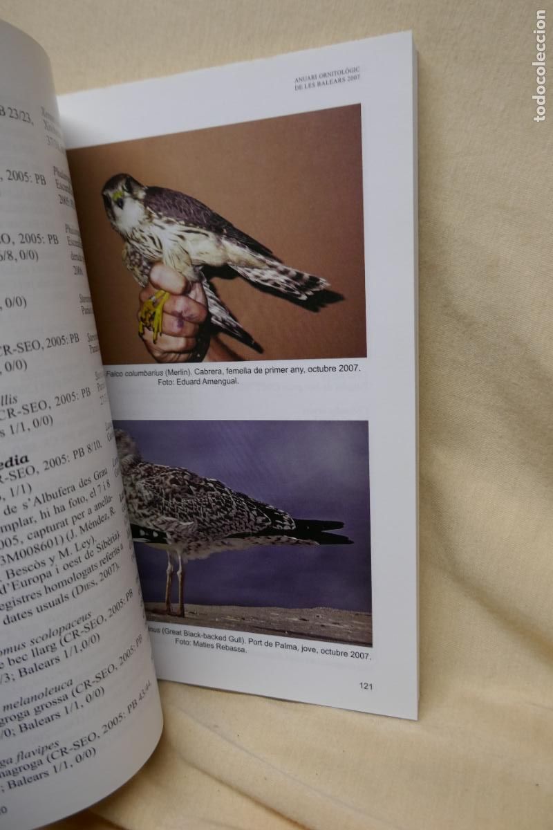 Libros de segunda mano: ANUARI ORNITOL&Ograve;GIC DE LES BALEARS, ANY 2007. VOLUM 22 - Foto 7