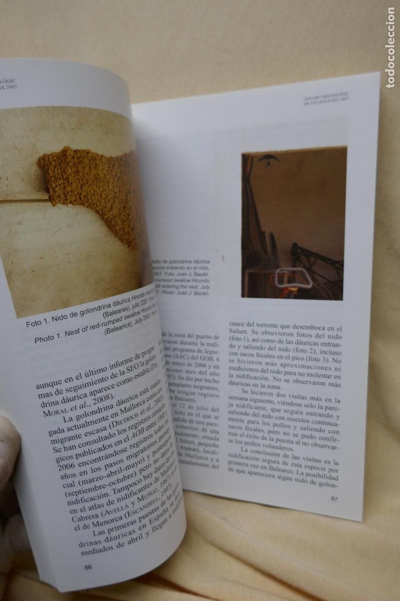 Libros de segunda mano: ANUARI ORNITOL&Ograve;GIC DE LES BALEARS, ANY 2007. VOLUM 22 - Foto 8