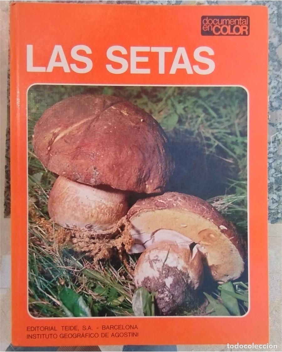 Libros de segunda mano: SETAS DOCUMENTAL COLOR N.&ordm; 16 Ed. TEIDE PASTA DURA GRAN FORMATO - Foto 1