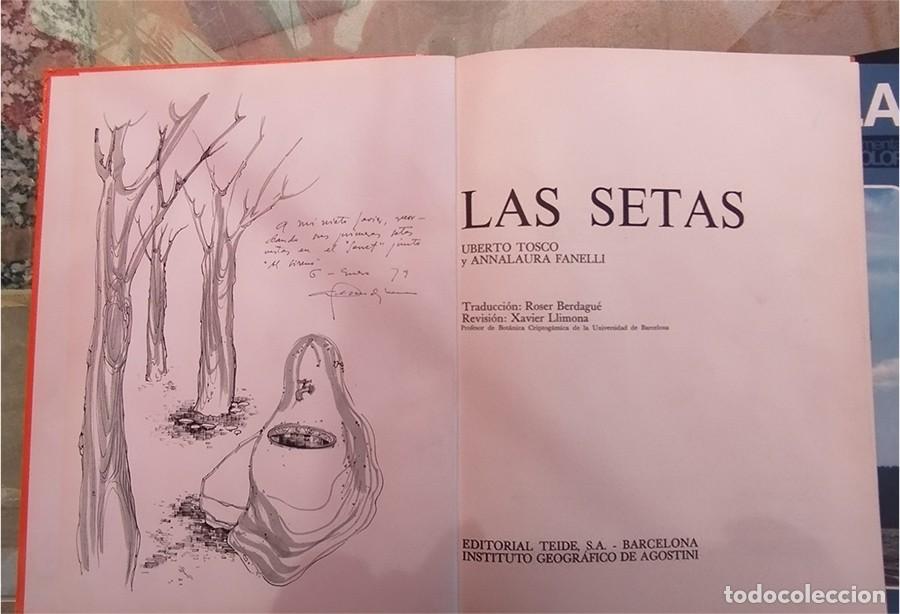 Libros de segunda mano: SETAS DOCUMENTAL COLOR N.&ordm; 16 Ed. TEIDE PASTA DURA GRAN FORMATO - Foto 2
